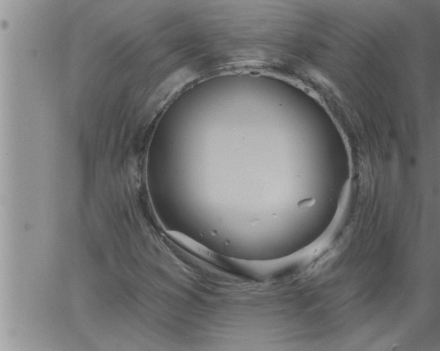 X0000063511353200601271800