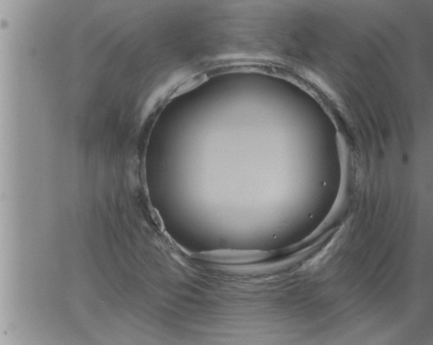 X0000063511357200601271800