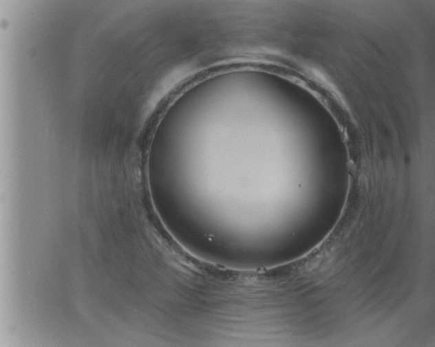 X0000063511360200601271800