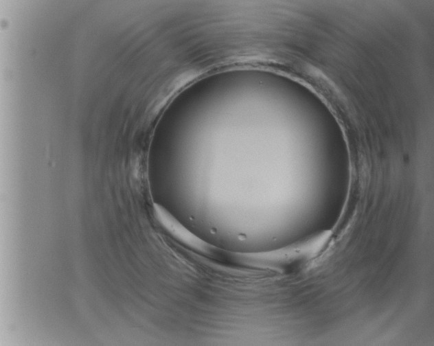 X0000063511361200601271800