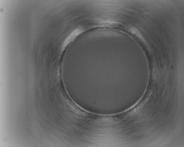 X0000063511362200601271800