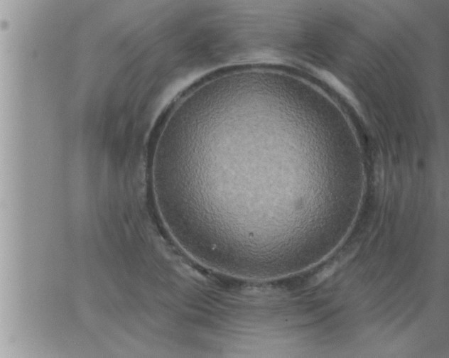 X0000063511364200601271800