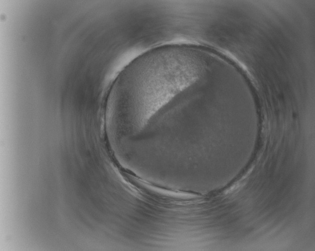 X0000063511367200601271800