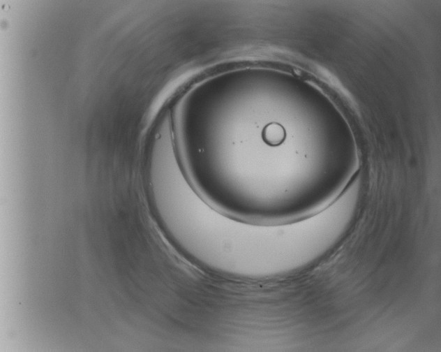 X0000063511368200601271800