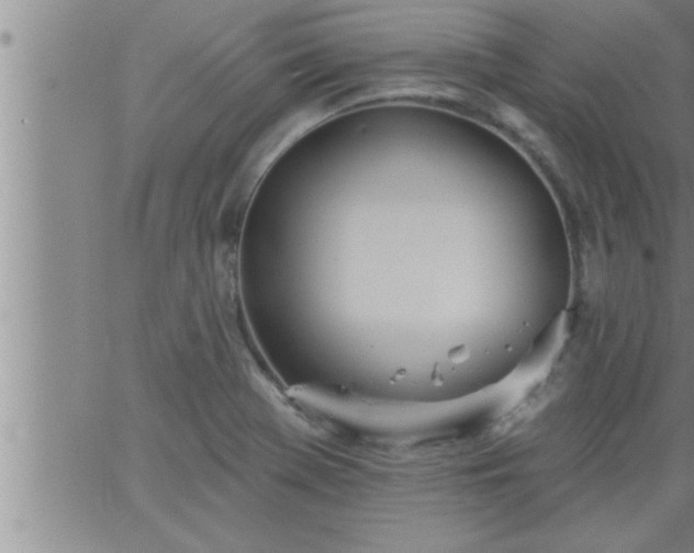 X0000063511369200601271800