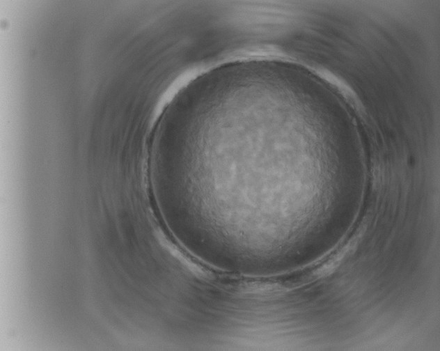 X0000063511374200601271800