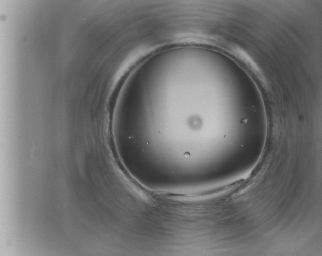 X0000063511376200601271800