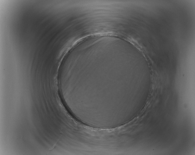 X0000063510002200602032055