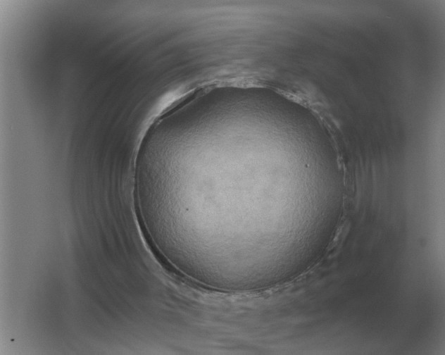 X0000063510003200602032055