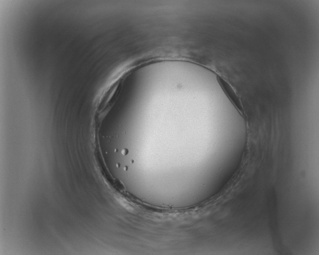 X0000063510005200602032055