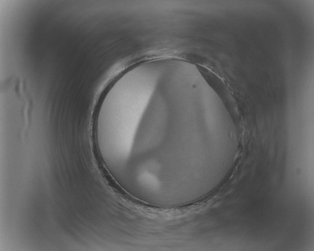 X0000063510006200602032055