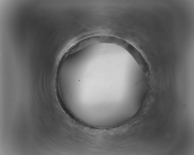 X0000063510007200602032055