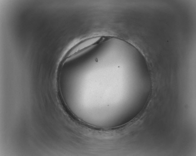 X0000063510008200602032055