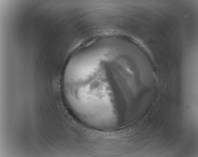 X0000063510010200602032055