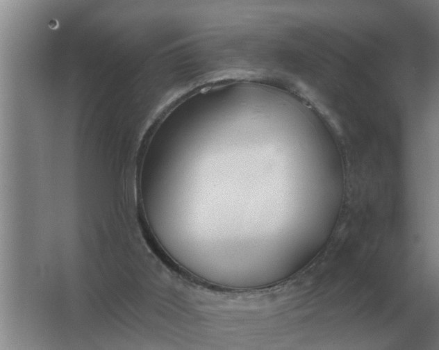 X0000063510011200602032055