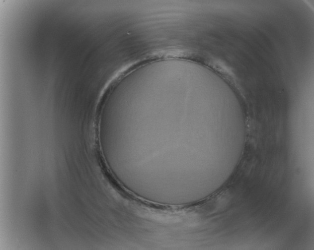 X0000063510012200602032055