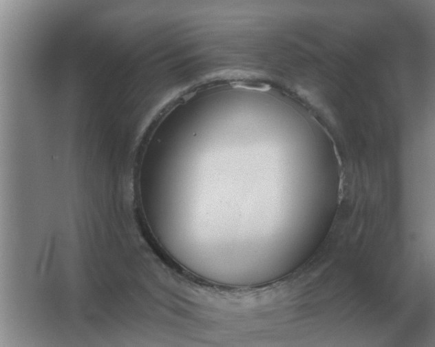 X0000063510015200602032055