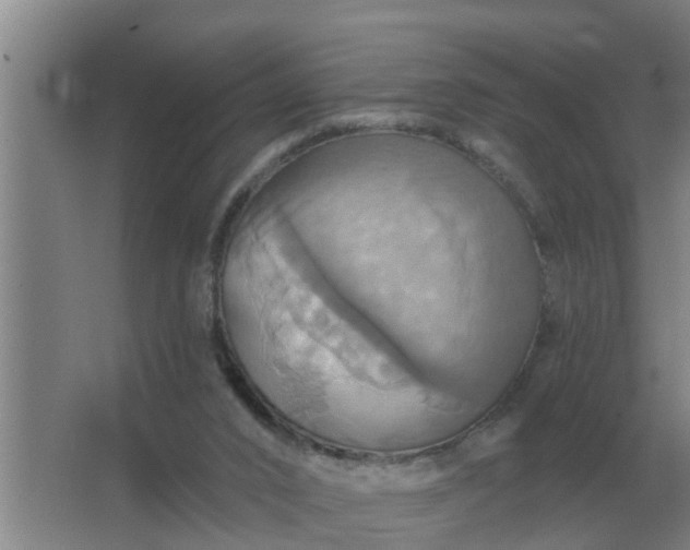 X0000063510016200602032055