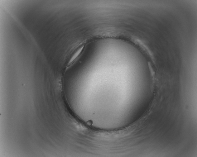 X0000063510017200602032055