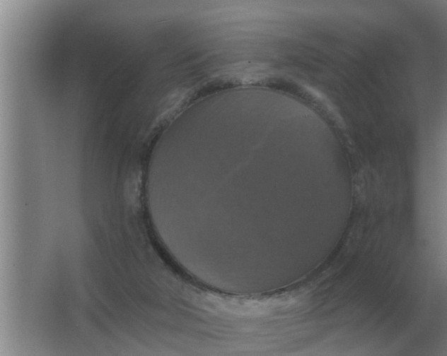 X0000063510018200602032055