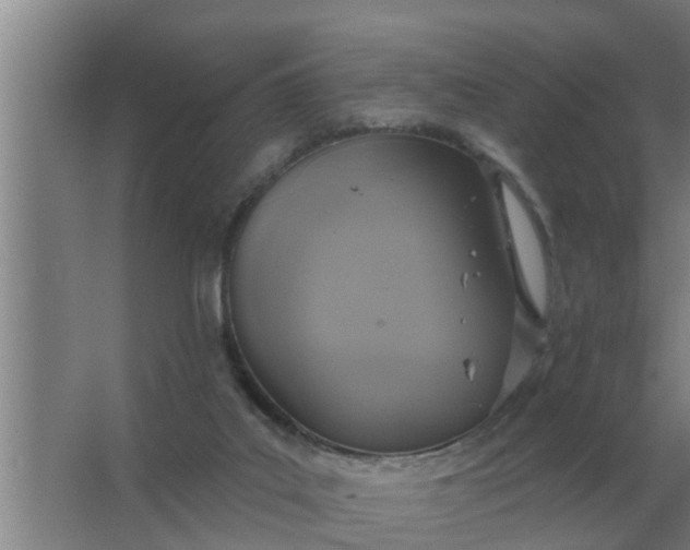 X0000063510019200602032055