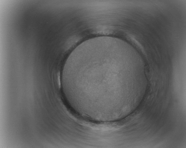 X0000063510020200602032055