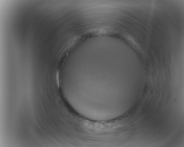 X0000063510022200602032055