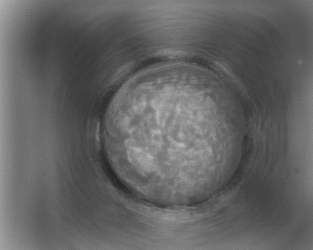 X0000063510024200602032055