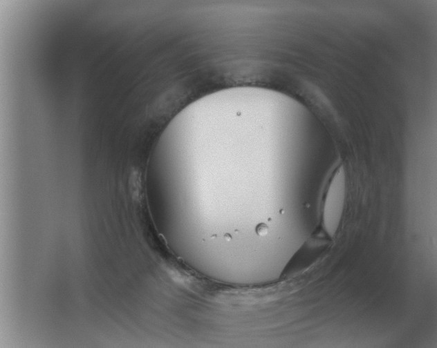 X0000063510025200602032055