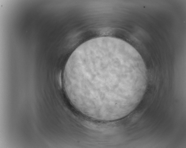 X0000063510028200602032055