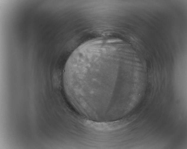 X0000063510030200602032055