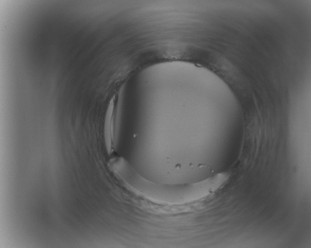 X0000063510031200602032055