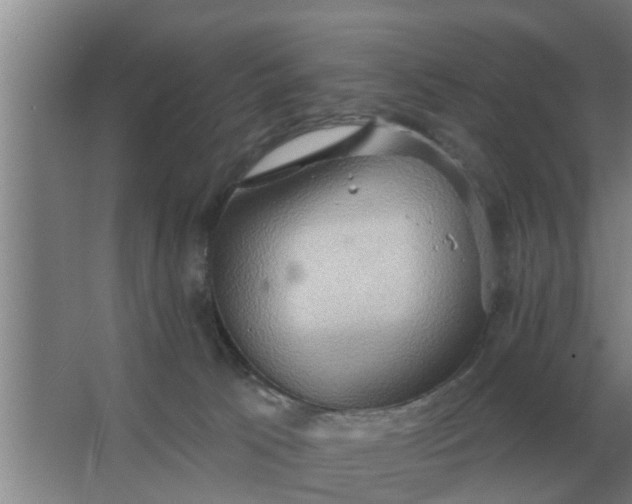 X0000063510033200602032055