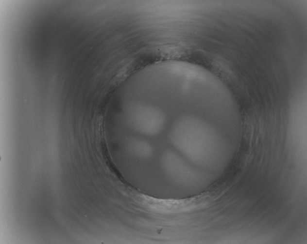 X0000063510034200602032055