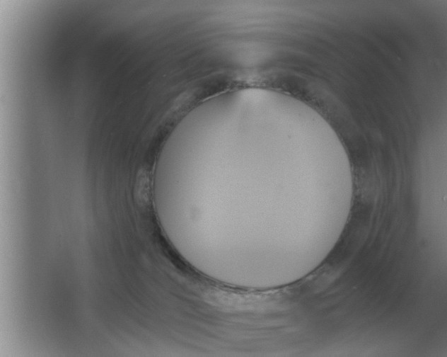 X0000063510036200602032055