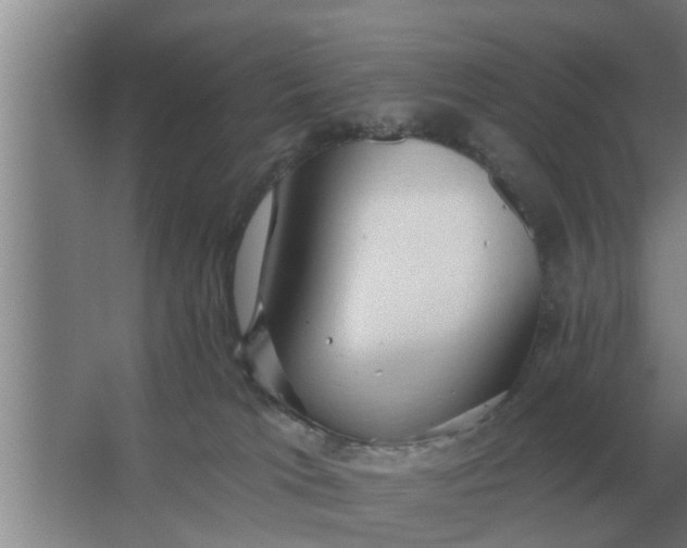 X0000063510037200602032055