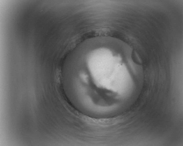 X0000063510038200602032055