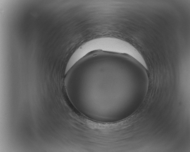 X0000063510039200602032055