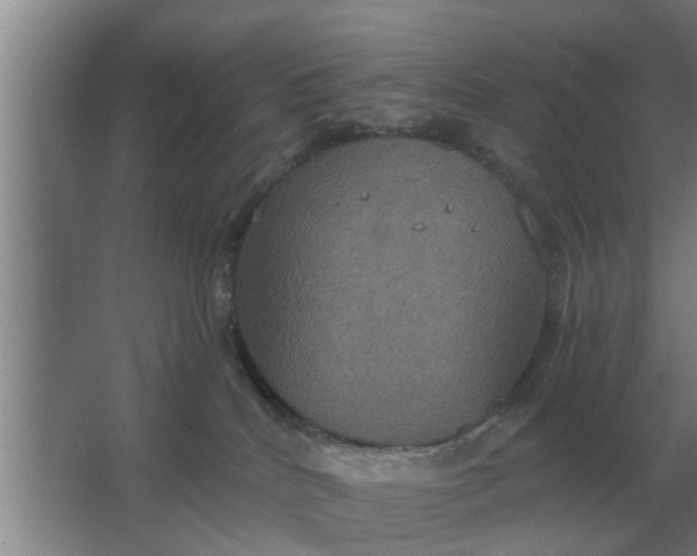 X0000063510040200602032055