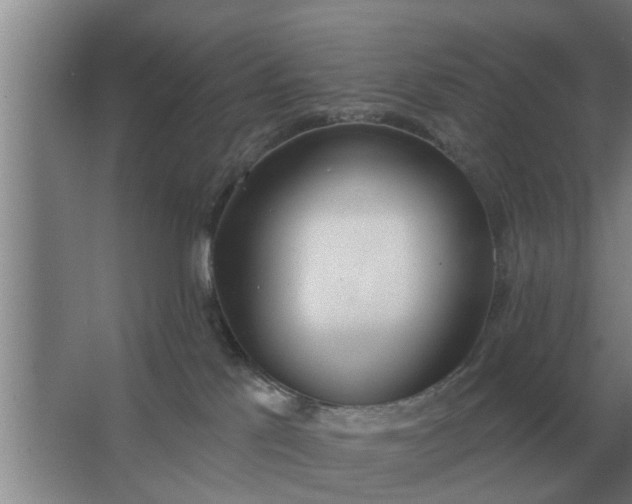 X0000063510041200602032055