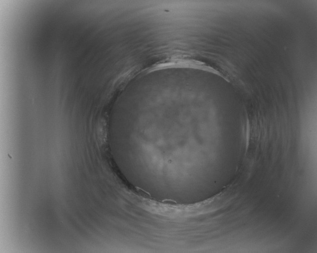 X0000063510043200602032055