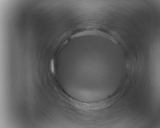 X0000063510046200602032055