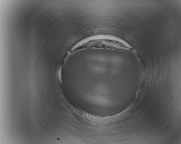 X0000063510047200602032055