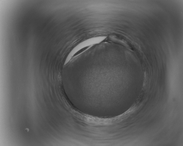 X0000063510048200602032054