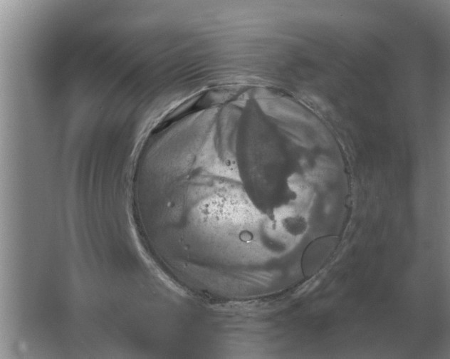 X0000063510049200602032054