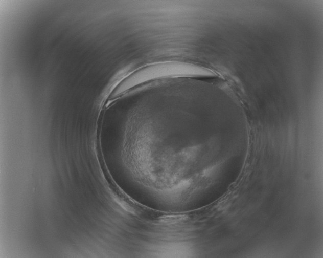 X0000063510051200602032054