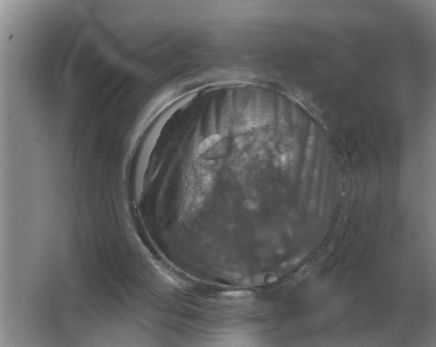 X0000063510053200602032054