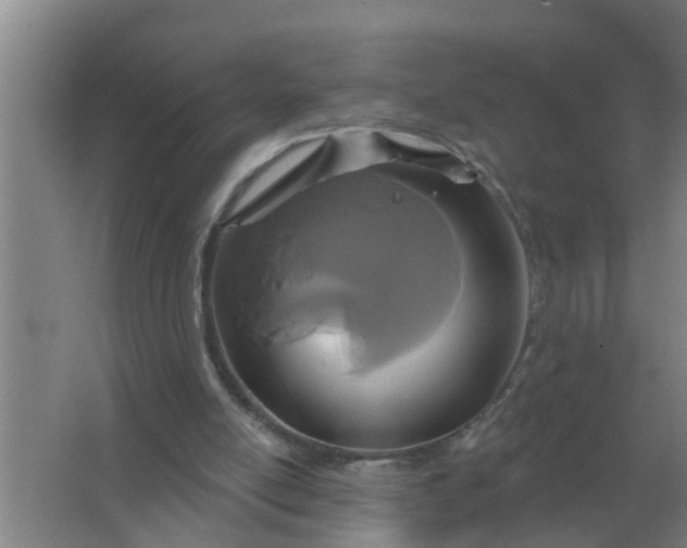 X0000063510054200602032054