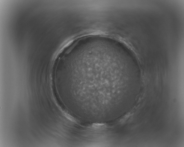 X0000063510055200602032054