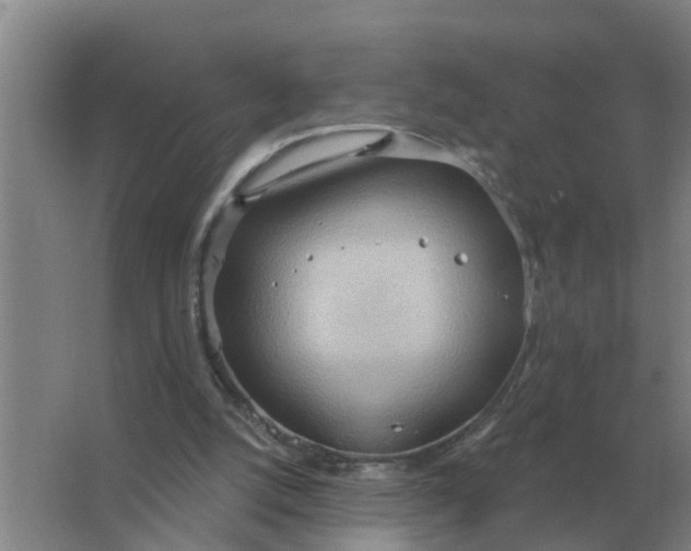 X0000063510056200602032054